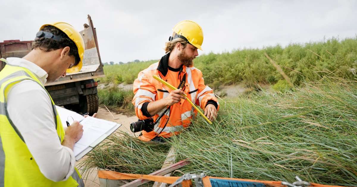 Inspecting the blocks of salt marsh in the field. (Image credit: Guus Schoonderwille for Deltares)