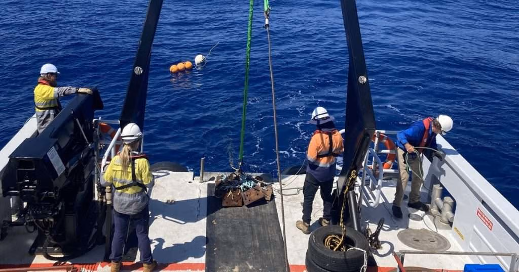 Researchers at sea off the North West Shelf. (Image credit: Curtin University)