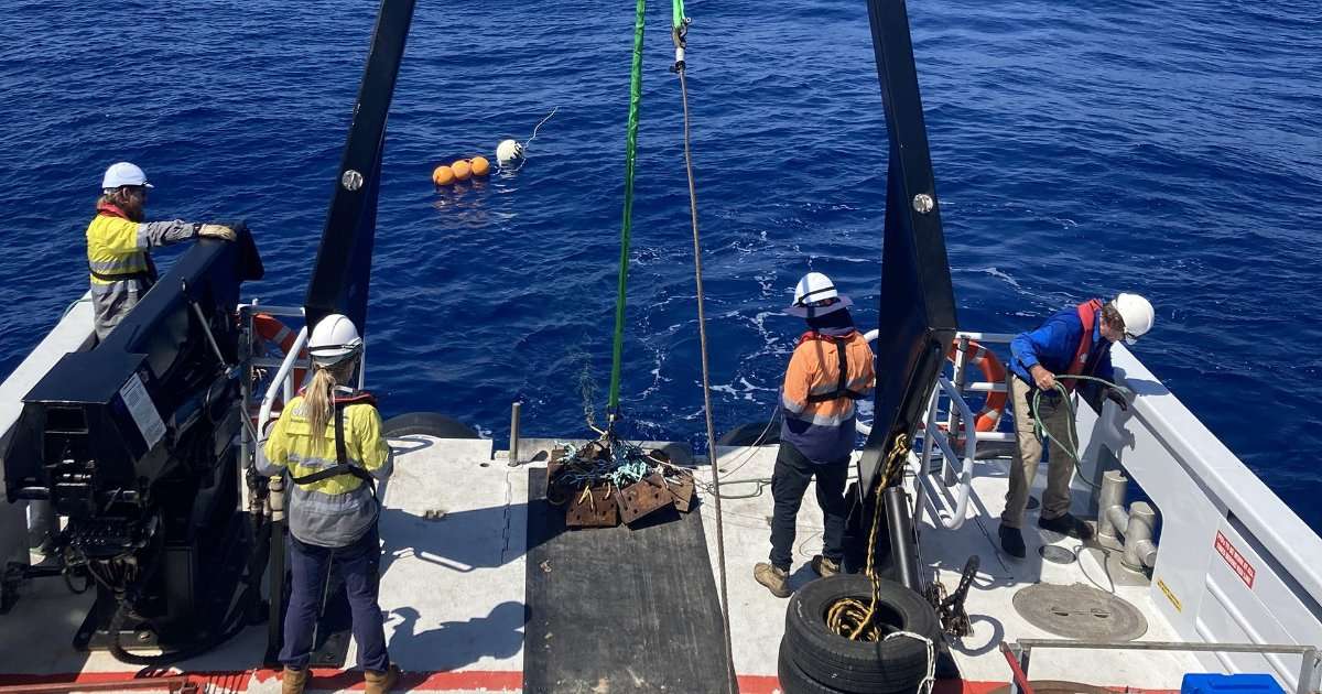 Researchers at sea off the North West Shelf. (Image credit: Curtin University)