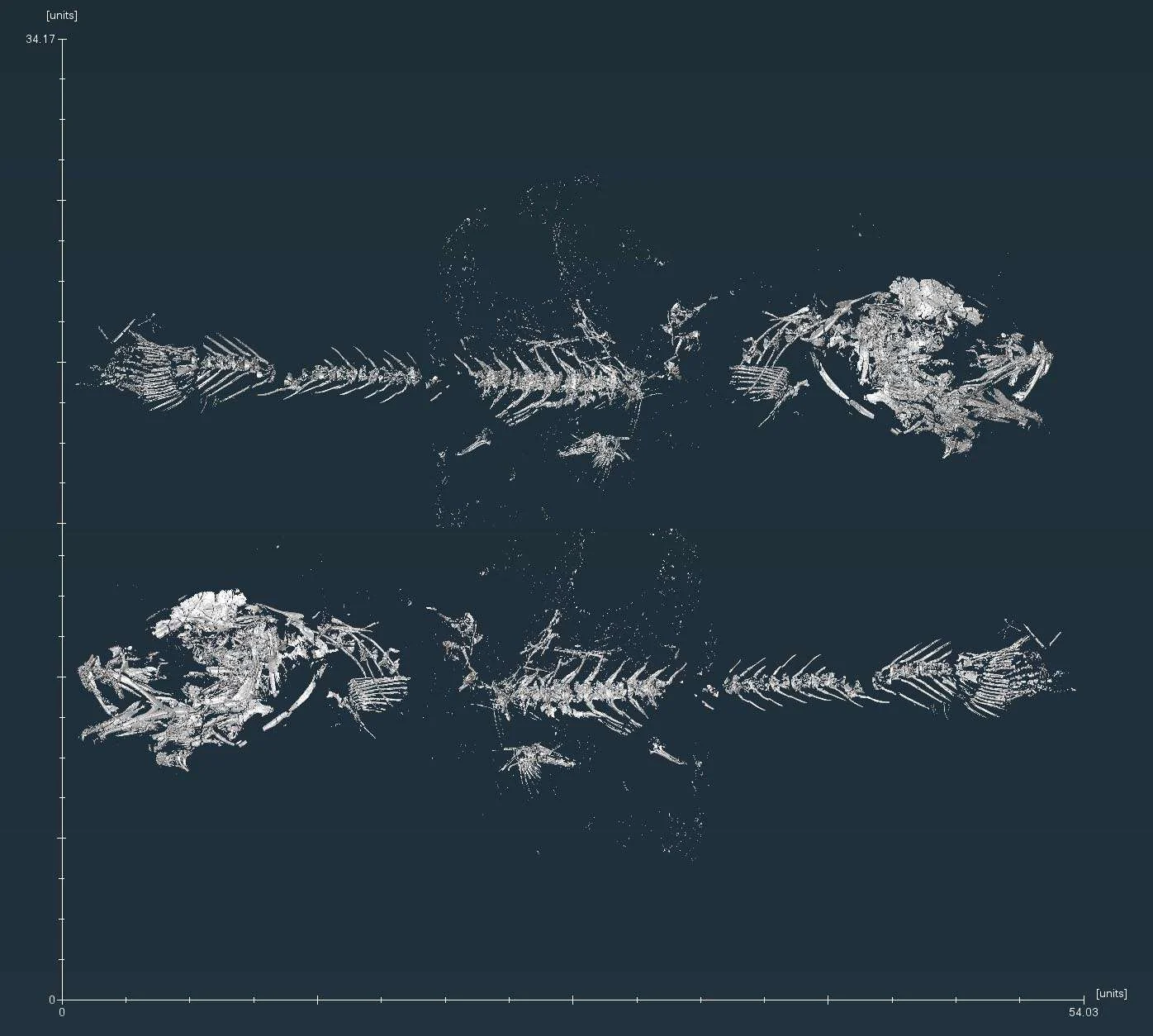 Polymixiiform full skeleton. (Image credit: CLS)