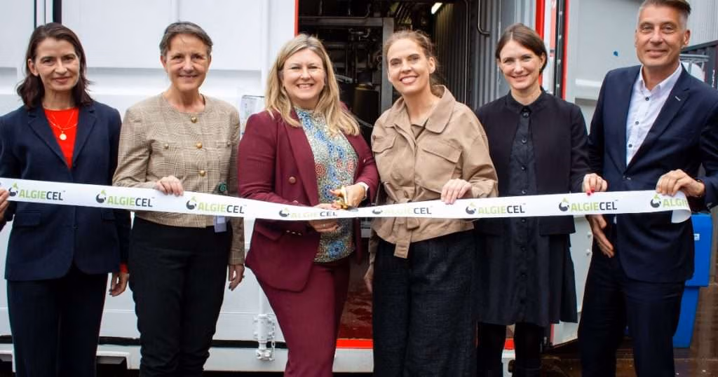 Left to right: Pernille Rype Elley (Dansk Industri), Tove Feld (Chair, Algiecel), Susanne Palsten Buchardt (CEO, Algiecel), Ghita Hansen (Novonesis), Anne Lerche (Dansk Erhverv), Henrik Busch-Larsen (Founder and Co-Chair, Algiecel). (Image credit: Algiecel)