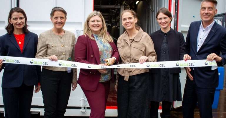 Left to right: Pernille Rype Elley (Dansk Industri), Tove Feld (Chair, Algiecel), Susanne Palsten Buchardt (CEO, Algiecel), Ghita Hansen (Novonesis), Anne Lerche (Dansk Erhverv), Henrik Busch-Larsen (Founder and Co-Chair, Algiecel). (Image credit: Algiecel)