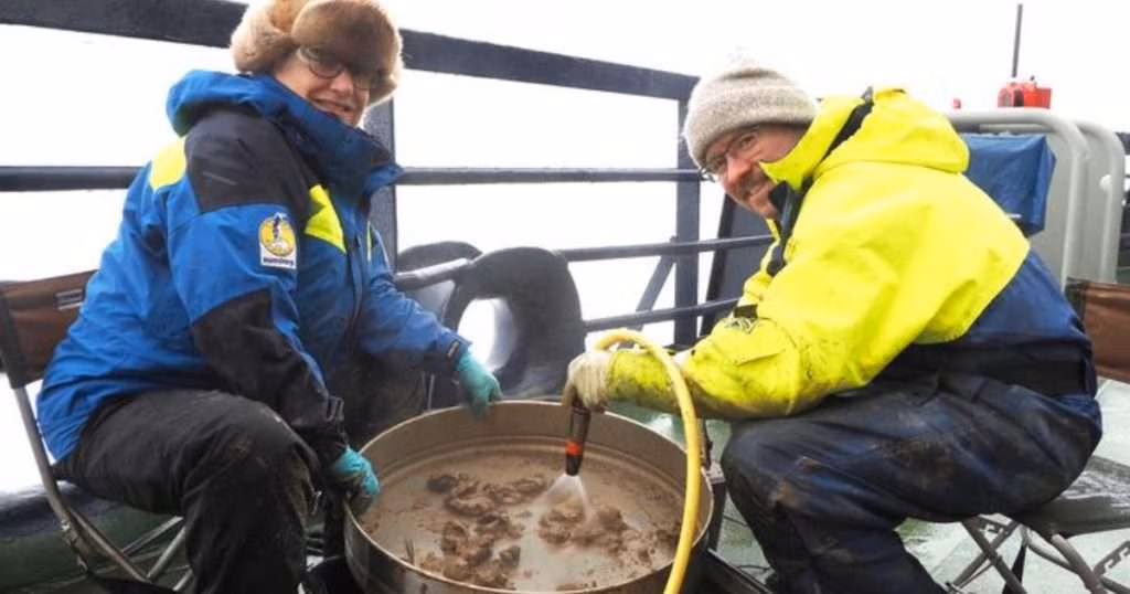 Pauline Snoeijs-Leijonmalm and Julek Chawarski extracting otoliths from sediment samples on the deck of the icebreaker Oden. (Image credit: Swedish Polar Research Secretariat)