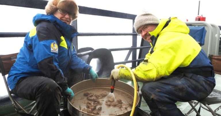 Pauline Snoeijs-Leijonmalm and Julek Chawarski extracting otoliths from sediment samples on the deck of the icebreaker Oden. (Image credit: Swedish Polar Research Secretariat)