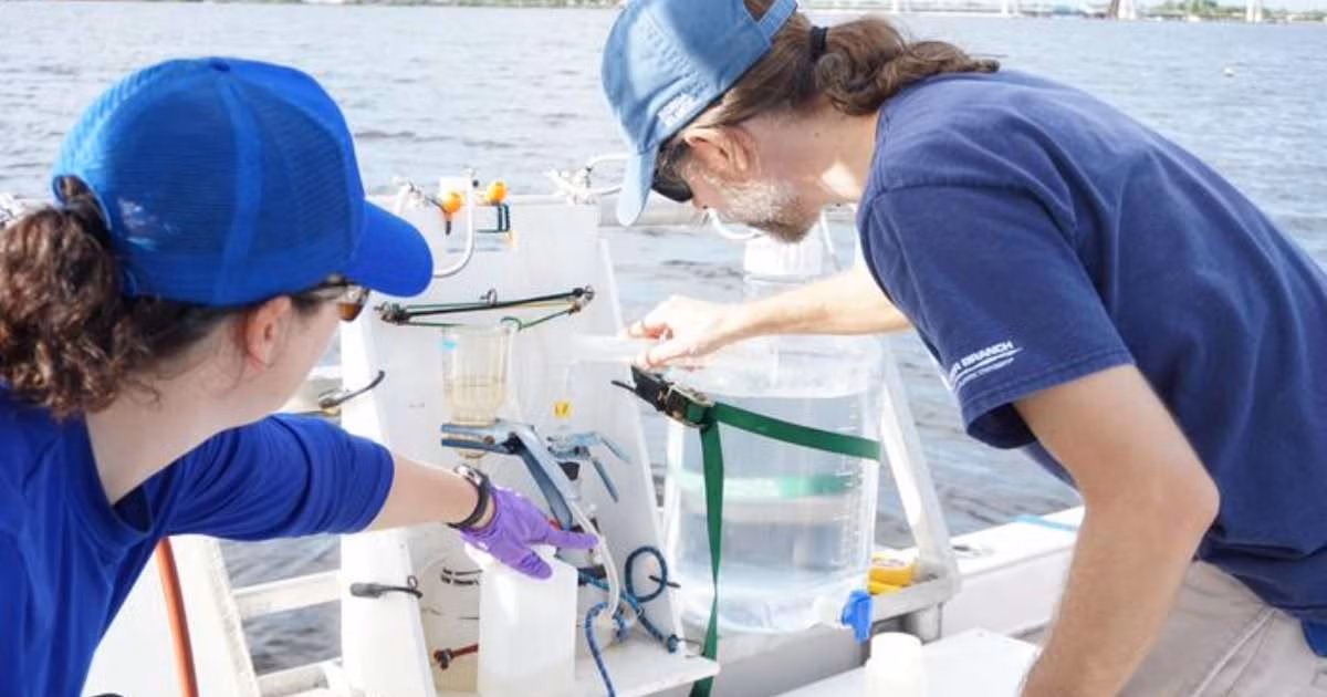Florida Atlantic University scientists from the Florida Center for Coastal and Human Health collecting water samples from the Indian River Lagoon. (Image credit: Florida Atlantic University)