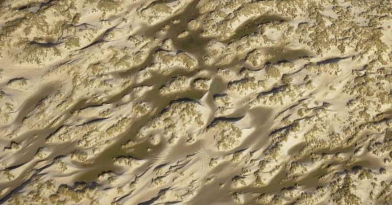 Oblique aerial view of the developing dune system 'de Hors' on the island of Texel, The Netherlands (2020). (Image credit: Utrecht University)