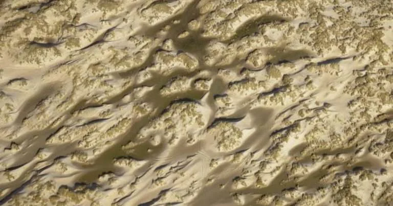 Oblique aerial view of the developing dune system 'de Hors' on the island of Texel, The Netherlands (2020). (Image credit: Utrecht University)