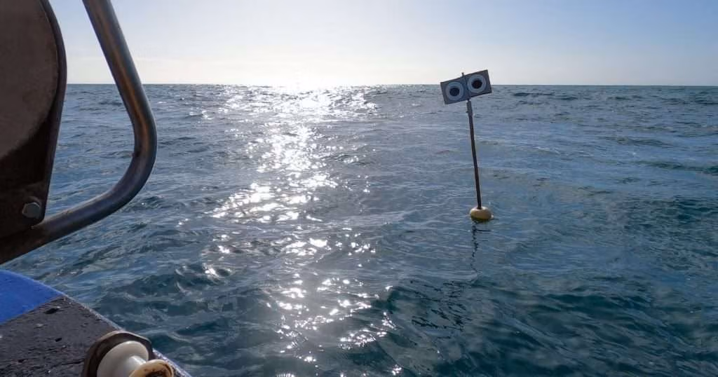 Looming Eye Buoys can reduce bird bycatch by 59%. (Image credit: Fishtek Marine/ninaconstablemedia)