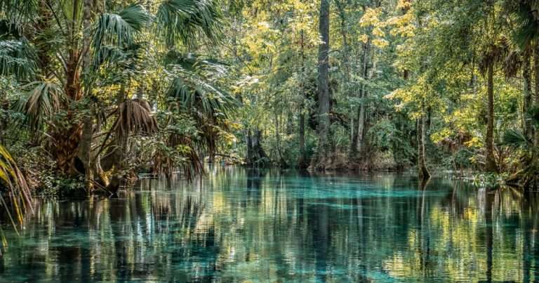 Florida's Springs Restoration and Alternative Water Supply grant programs will direct $50 million each toward reducing nitrogen pollution in the state's springs and expanding alternative freshwater sources.