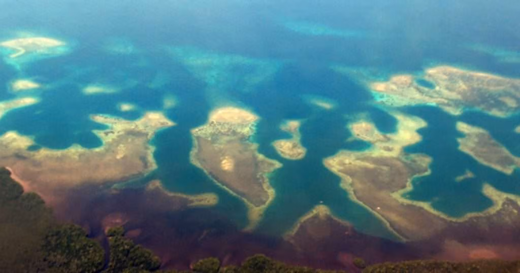 Coastline of (North) Sulawesi, Indonesia: Coral reefs, mangrove forests, and seagrass beds are closely interconnected and together form a “tropical triad” of coastal ecosystems. (Credit: Sebastian Ferse, ZMT)