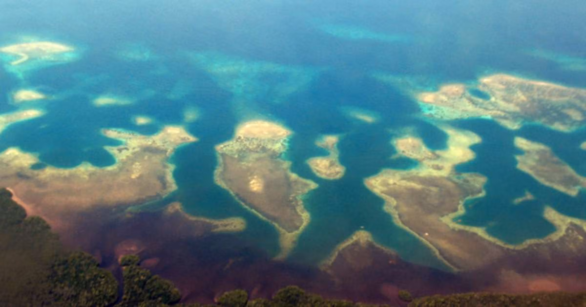 Coastline of (North) Sulawesi, Indonesia: Coral reefs, mangrove forests, and seagrass beds are closely interconnected and together form a “tropical triad” of coastal ecosystems. (Credit: Sebastian Ferse, ZMT)