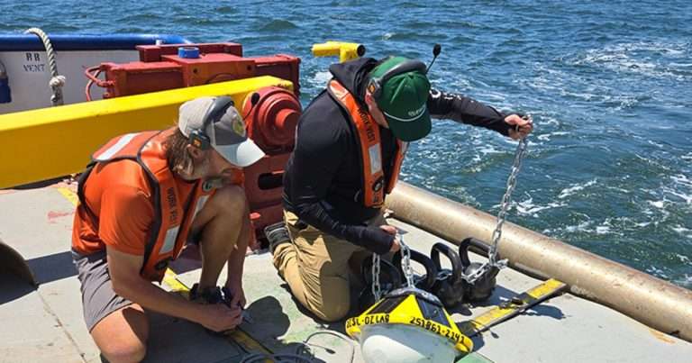 DISL installed a Sofar Spotter buoy in 2025 off the Alabama coast. (Image credit: Dauphin Island Sea LaB)
