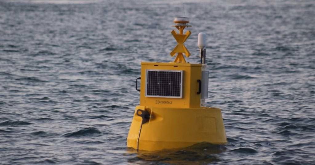 (Image credit: Inyanga Marine Energy)