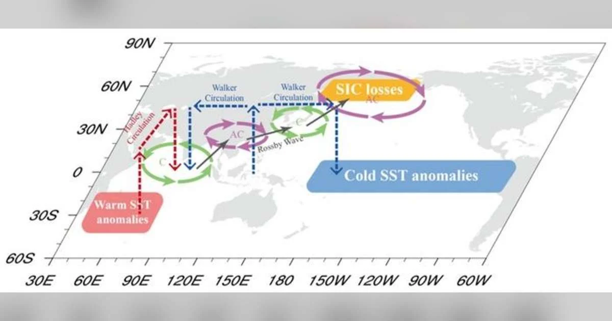 Schematic diagram illustrating the combined pathways by which cold sea surface temperature (SST) anomalies in the tropical central-east Pacific (TCEP; blue rectangle) and warm SST anomalies in the South Indian Ocean (SIO; red rectangle) drive sea ice reduction in the Okhotsk and Bering Seas (yellow rectangle). (Image credit: Science China Press)