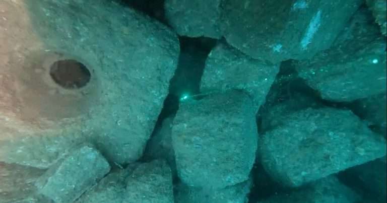 Reef cubes® at Rampion Offshore Wind Farm. (Image credit: ARC marine)