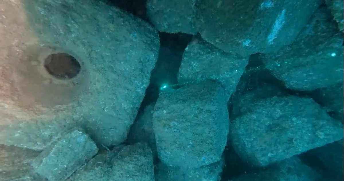 Reef cubes® at Rampion Offshore Wind Farm. (Image credit: ARC marine)
