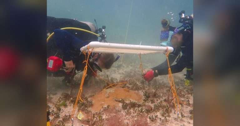 Karen Neely (left) and Kathryn Toth (right) work on a shade. (Image credit: Arelys Chaparro)