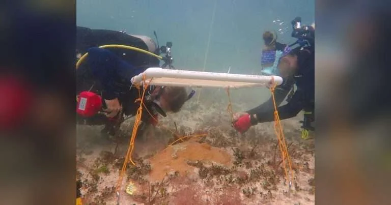 Karen Neely (left) and Kathryn Toth (right) work on a shade. (Image credit: Arelys Chaparro)