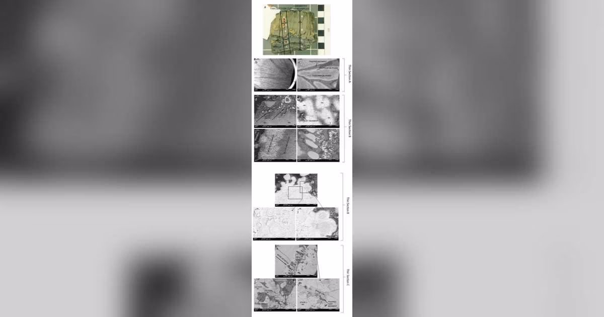 A stratigraphic scanning electron microscope tour showing the evolution of manganese-oxide mineralization of host sediment. Mn mineralization shows a multipronged process of formation including growth of Mn columns in soft sediment, cementation and then partial to complete replacement of the host sediment, Mn grain growth, Mn recrystallization, and late-stage void-fracture fill. Click image for full explanation. A new study led by USGS describes a previously undocumented style of hydrothermal manganese-oxide mineralization on the seabed near American Samoa, offering new insight into how seafloor mineral occurrences can form and how widespread similar deposits may be around the world. The study examined 24 dredge samples collected from three sites along the Samoan volcanic chain in the South Pacific. In many of these samples, researchers found evidence that hot, mineral-rich fluids moved upward through seafloor sediments, progressively replacing the original material with thick layers of manganese-oxide minerals. Hydrothermal systems occur where heated fluids circulate through Earth's crust and return to the seafloor, carrying dissolved metals and other elements. When those fluids encounter cooler surroundings, minerals can precipitate and accumulate. Manganese oxides are common components of seafloor mineral occurrences, but the new study documents something researchers had not previously observed: hydrothermal manganese oxides replacing sediment made up of foraminiferal carbonate. Foraminifera are microscopic marine organisms whose shells are commonly composed of calcium carbonate and can accumulate on the seafloor after the organisms die. (Credit: USGS)