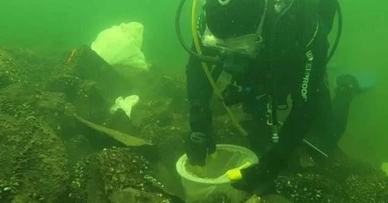 Dr. Matt Futia deploying egg bags for rearing lake trout in Lake Champlain. (Image credit: Matthew Futia, UVM)