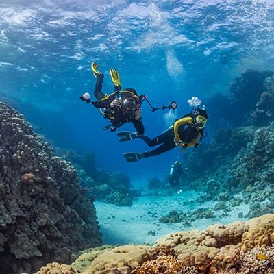 shallow-water-divers-coral-inspection-400x400